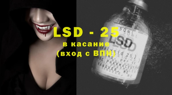 ПСИЛОЦИБИНОВЫЕ ГРИБЫ Каменка