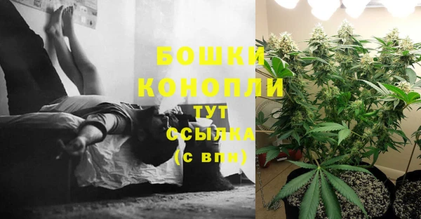 каннабис Каменногорск