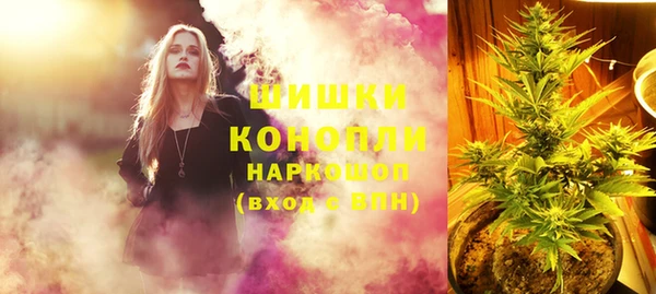 ПСИЛОЦИБИНОВЫЕ ГРИБЫ Каменка