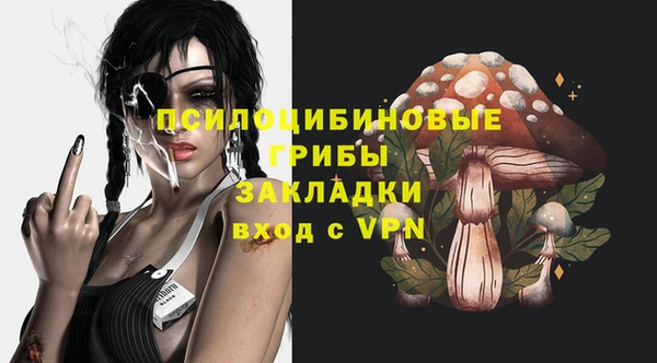 ПСИЛОЦИБИНОВЫЕ ГРИБЫ Каменка