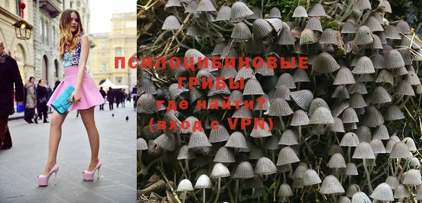 каннабис Каменногорск