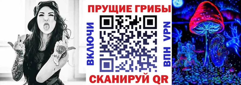 Купить где  Певек  Псилоцибиновые грибы Cubensis 